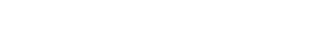 SAM — Sarti del Management